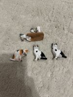 Schleich Katzen Hessen - Rödermark Vorschau