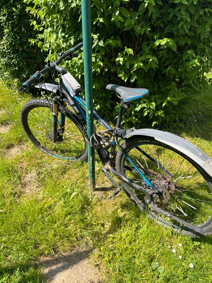 Cube Attention  29 Zoll Fahrrad in Stuttgart