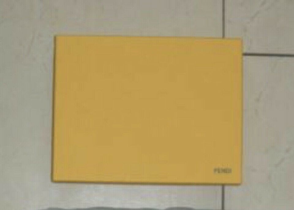 Fendi Box 22,5x18 cm in Dortmund