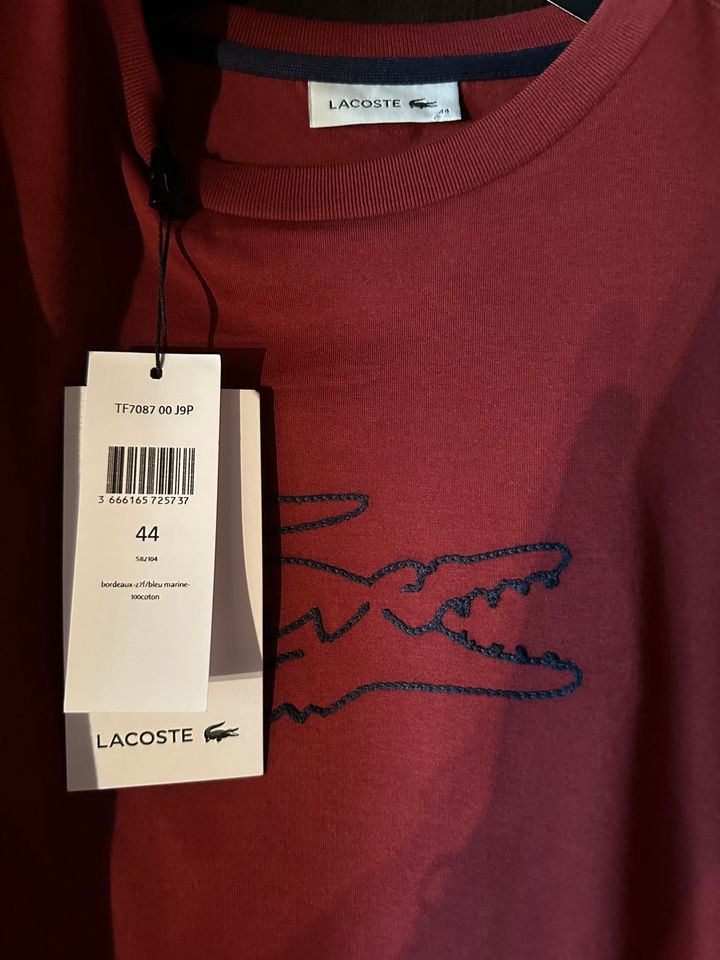 Lacoste T-Shirt in München