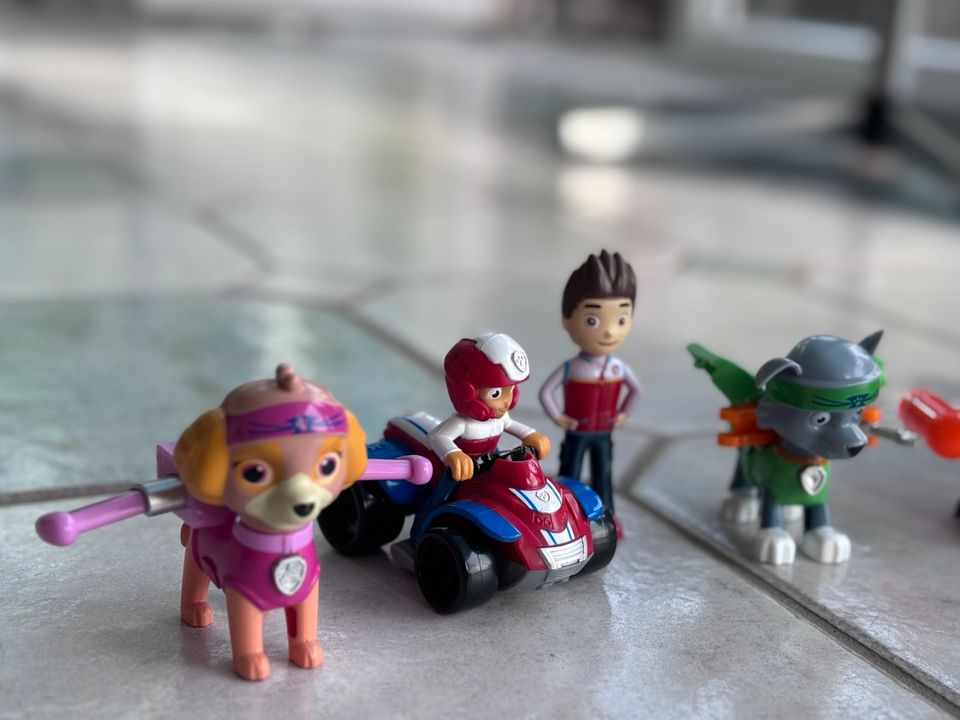 Paw Patrol Set in Pyrbaum