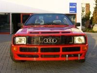 AUDI Sportquattro Gitter Stoßstange/Motorhaube 81 85 Urquattro Niedersachsen - Nordstemmen Vorschau