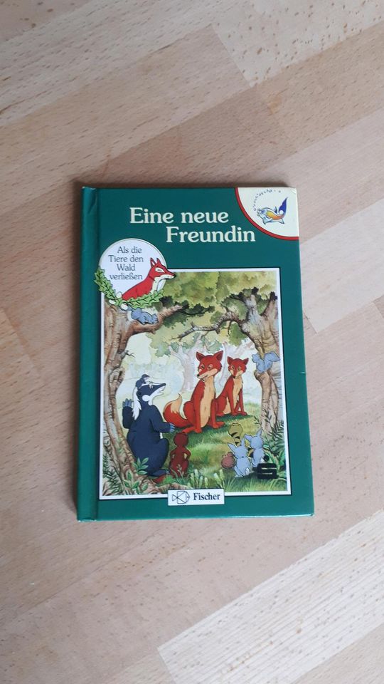 Eine neue Freundin Kinderbuch in Olching