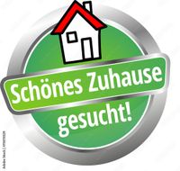 Suche Haus in Wetzlar 500,- Bonus Hessen - Wetzlar Vorschau