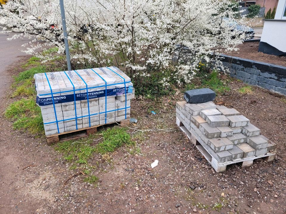 Betonpflaster Muschelkalk in Landau in der Pfalz