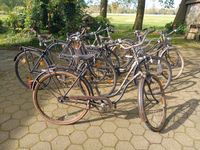 Fahrräder, Oldtimer Niedersachsen - Bad Zwischenahn Vorschau