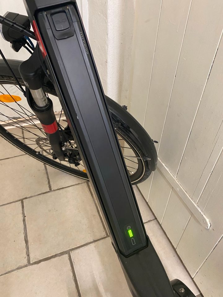 E-bike Pegasus Piazza Evo Gröse 45 in Sulz