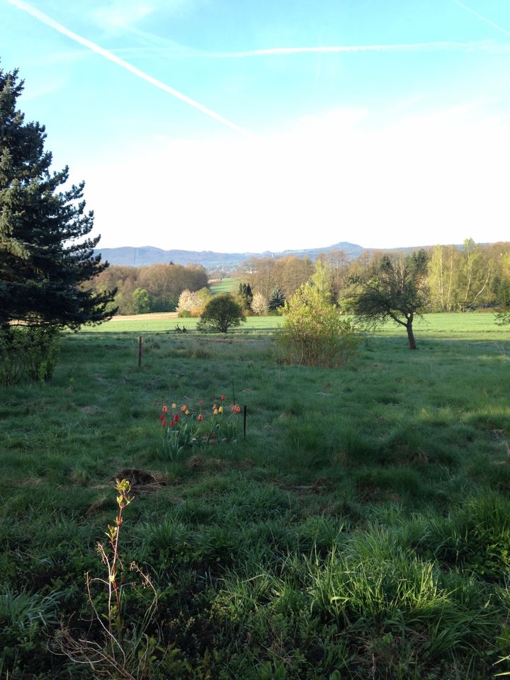 Gras/Heu von Öko-Wiese zum Abmähen zu verschenken in Leutersdorf