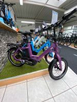 Qio E-Bike Bosch ‼️ Sofort Verfügbar ‼️ Jetzt Probefahren Niedersachsen - Nordenham Vorschau