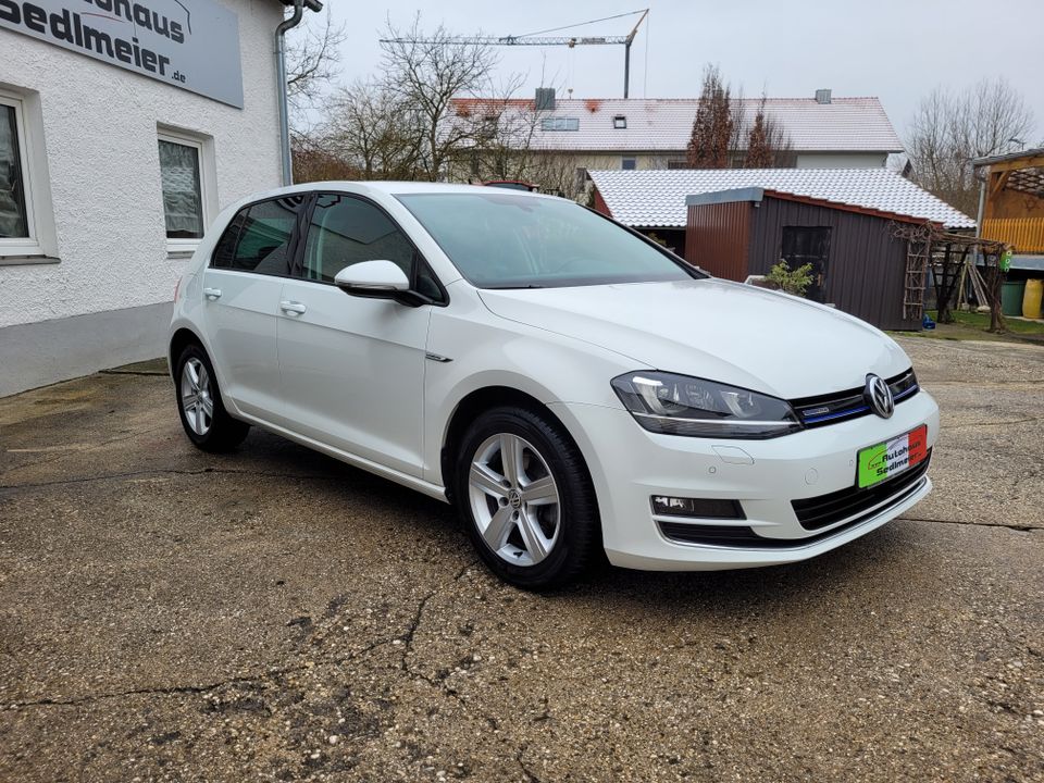 Volkswagen Golf 1,5 Edition BMT Navi Xenon Teilleder in Sünching