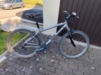 Herren Fahrrad Baden-Württemberg - Vaihingen an der Enz Vorschau
