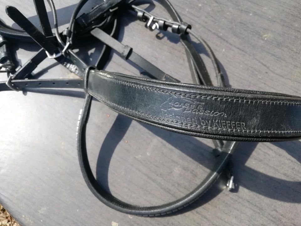 Trense Kieffer Horse&Passion Cob Stirnband Passier in Salzhausen