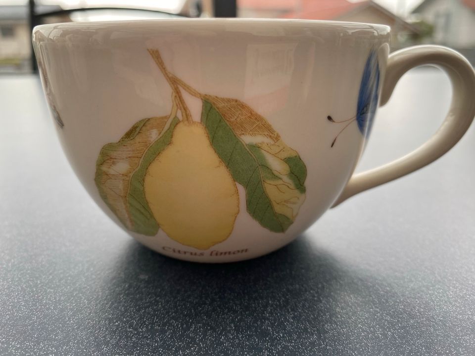 Wedgwood Teetasse 10cm Durchmesser in Niederbergkirchen