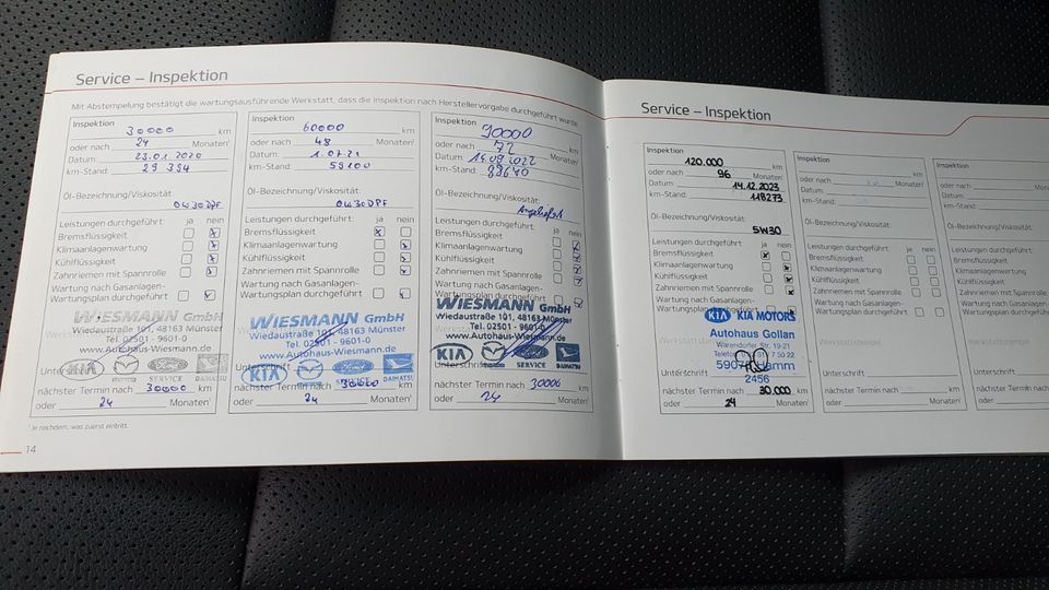 Kia Sportage (Modell 2019) 2.0 CRDI Platinum Edition AWD mit AHK in Hamm