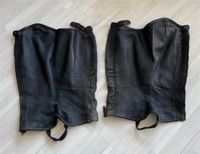 Chaps Steeds Size XL Baden-Württemberg - Heilbronn Vorschau