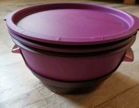 Tupperware Micro Gourmet  inkl. einen Neuen Dampfgareinsatz Nordfriesland - Bargum Vorschau