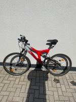 Fahrrad Bulls Mountainbike 19 Zoll Innenstadt - Köln Altstadt Vorschau