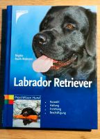 Buch "Labrador Retriever" Nordrhein-Westfalen - Rosendahl Vorschau