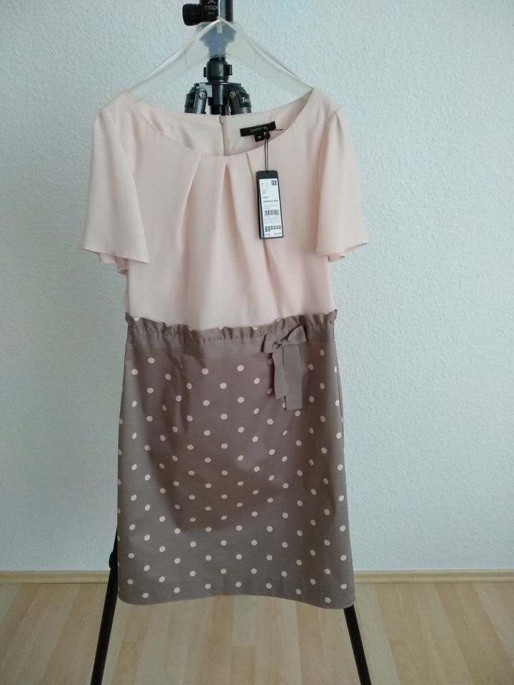 Damen Festkleid Rosé von Comma Neu mit Etikett gr. 38 in Fulda