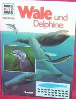 Was ist Was - Band 85 - Wale und Delphine - Tessloff Niedersachsen - Hildesheim Vorschau