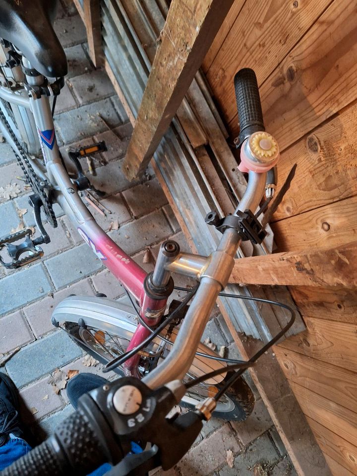 Fahrrad 20 Zoll mit etwas überholt werden in Bad Pyrmont