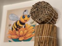Schilf für Wildbienen Insektenhotels als Bündel oder lose Ware Schleswig-Holstein - Barsbek Vorschau