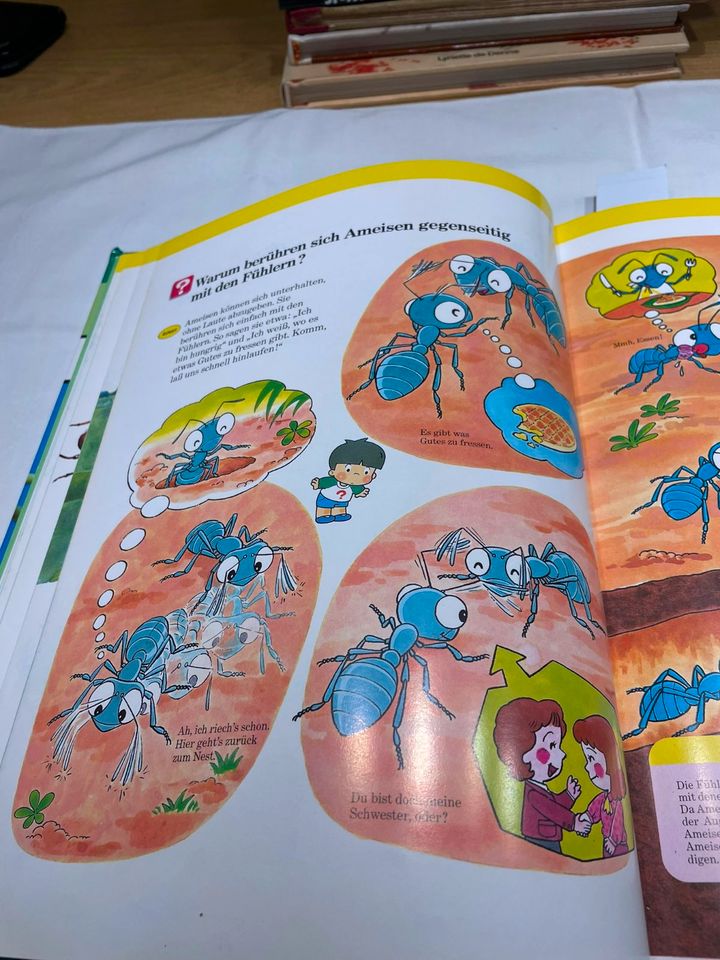 1x Die Welt der Insekten ,1x Herders buntes Großes Kinderlexikon in Merkendorf