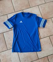 Herren Adidas Sport Shirt Gr. L blau Bayern - Unterreit Vorschau