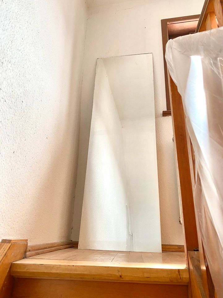 Spiegel 160 x 50 cm, Ganzkörperspiegel, Wandspiegel in Erfurt