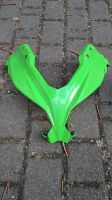 Original Kawasaki Ninja 300 Frontmaske Scheinwerfer Verkleidung Sachsen-Anhalt - Halle Vorschau