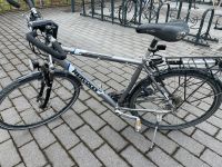 Herren Trekking Bike in gutem, gebrauchten Zustand Baden-Württemberg - Langenargen Vorschau