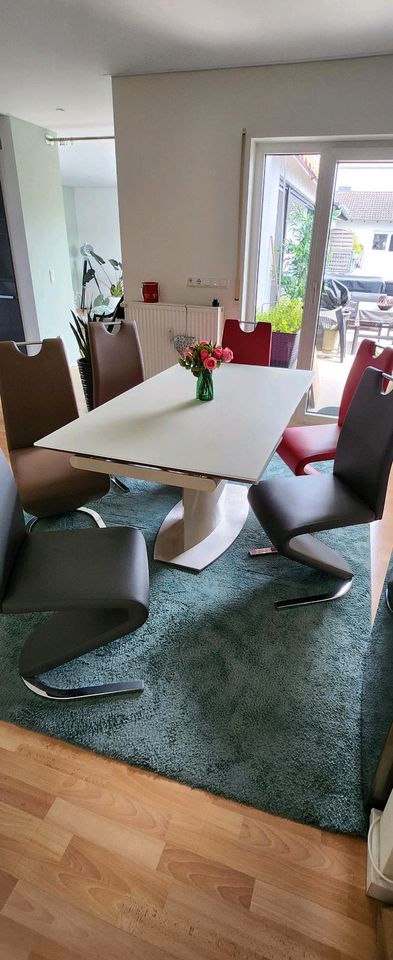 Tisch 160 cm (250) u 6 Stühle in Büttelborn