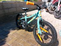 Scott Fahrrad für Kinder mit Helm von Cube Sachsen - Glashütte Vorschau