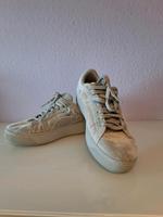 Puma Sneaker low samt Grau Silber Gr. 39 neuwertig Nordrhein-Westfalen - Sankt Augustin Vorschau