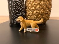 Golden Retriever Hund Schleich neu mit Etikett Bayern - Hauzenberg Vorschau