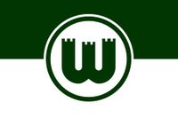 Suche alte Wolfsburg Trikots mit Zinnenwappen Hessen - Heringen (Werra) Vorschau