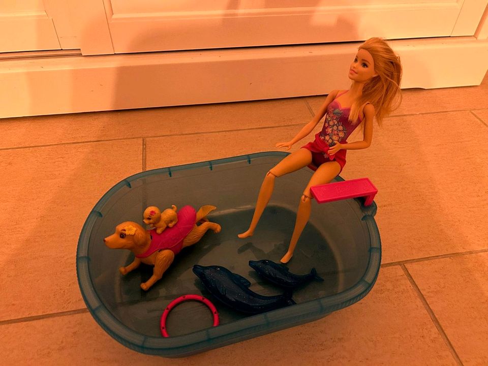 Mattel Barbie DMC32 - Barbie Die große Hundesuche in Wiesbaden