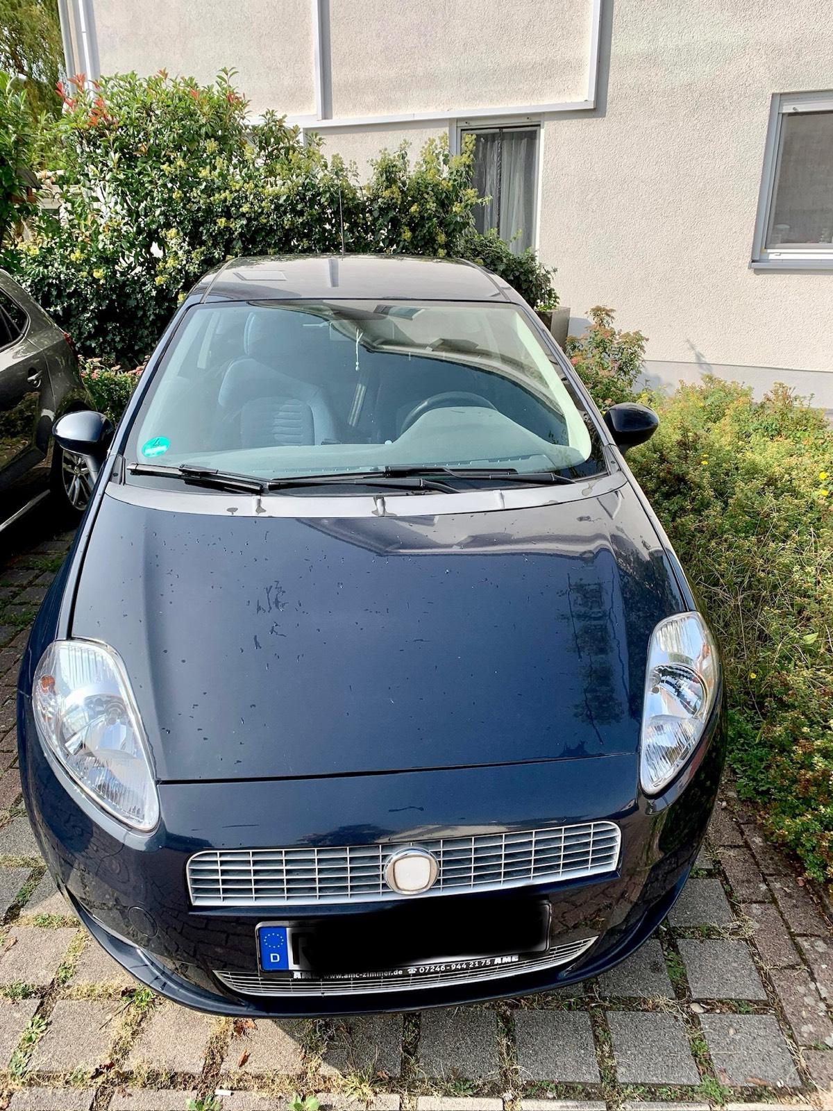 Abbildung des Autos Fiat Punto