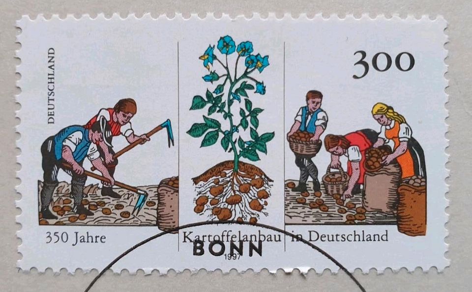 Erstagsblatt mit Briefmarke 350 Jahre Kartoffelanbau m. Stempel in Sandersdorf