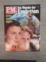 PM das Winder der Evolution 1996 Niedersachsen - Peine Vorschau