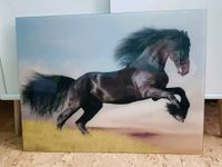Glasbild Pferd / Friesischer Hengstgalopp 80 x 60 cm Bayern - Peiting Vorschau
