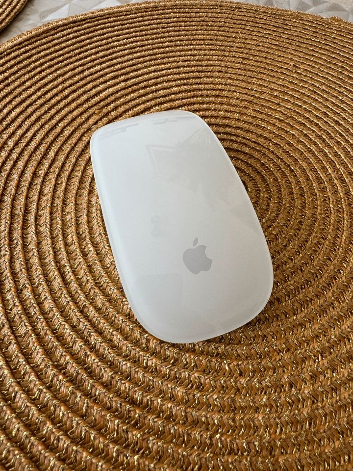 Apple Mouse 2 in Bad Abbach