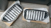 BMW 5er G30 G31 Niere Grill Nieren Gitter original Baden-Württemberg - Heidelberg Vorschau