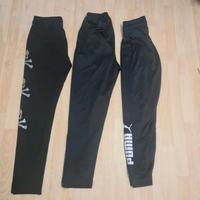 3 Jogginghose Gr 36 Puma Nike Top Zustand Bayern - Bayreuth Vorschau