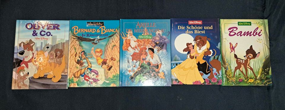 8 Bücher "Walt Disney" in Zeschdorf