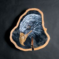 2 Adler Set Greifvogel Seeadler Wandbehang Goldschnabel Nordrhein-Westfalen - Herford Vorschau