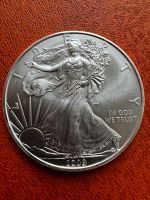 USA 1 Oz Silber Eagle 2009 Silver Eagle Rheinland-Pfalz - Weisenheim am Sand Vorschau