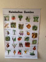 Lernposter heimisches Gemüse, Wandtafel, Bayern - Kötz Vorschau