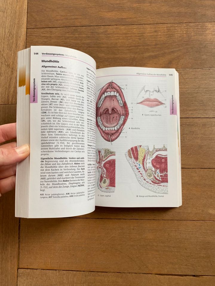 Fritsch Kühnel Taschenatlas Anatomie Innere Organe 9. Auflage in Frankfurt am Main