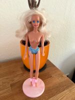 Barbie Mattel 1976 Sachsen - Reichenbach (Vogtland) Vorschau